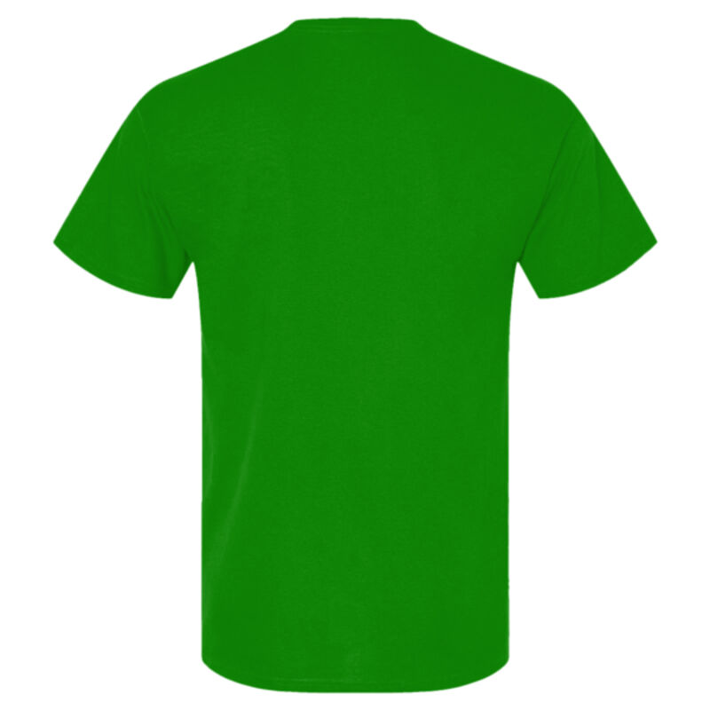 Adult 5.4 oz., 100% Cotton T-Shirt Thumbnail