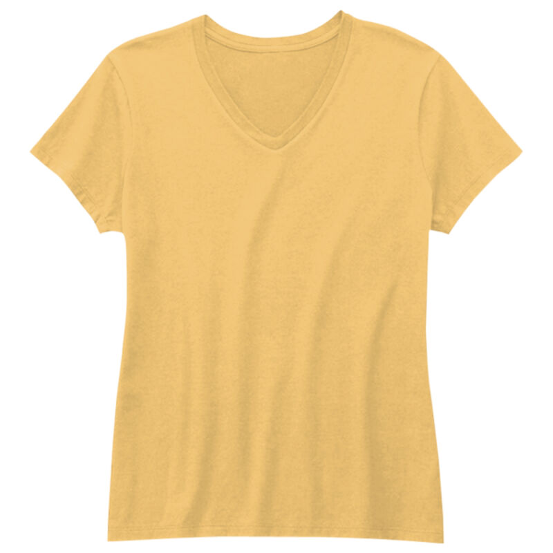 Nano-T Women's V-Neck T-Shirt Thumbnail